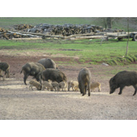 Tentokrát už s mladými