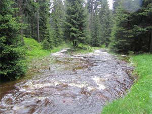 Překonatelný? potok aneb tady začínaly povodně